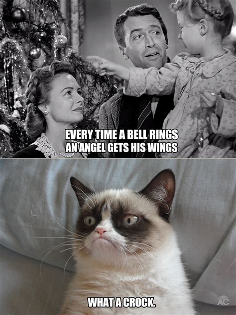 Every Time A Bell Rings.... | Grumpy Cat | Grumpy cat meme, Grumpy cat ...