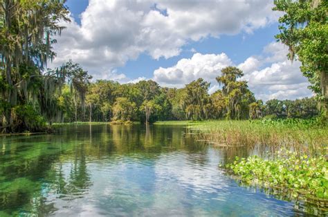 Welcome to Florida Paddle Notes - Rainbow River