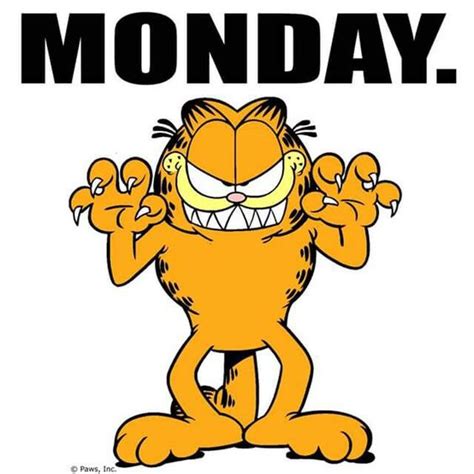 50+ Garfield I Hate Mondays | Quotes, Images, Pics – The Random Vibez