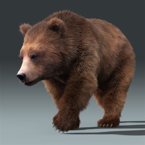 brown bear 3 fur 3d model