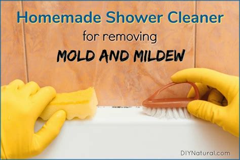 Mold in Shower: A Cleaner to Remove Shower Mildew and Mold