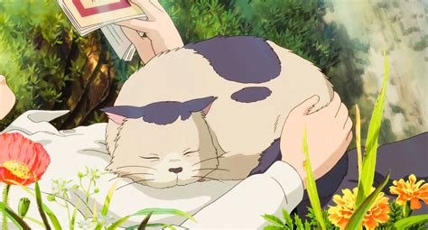 Studio Ghibli on Twitter: "Ghibli cats https://t.co/3inUifZFx8" / Twitter Studio Ghibli ...