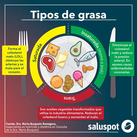 Dra. Marta Busquets » Los diferentes tipos de grasa