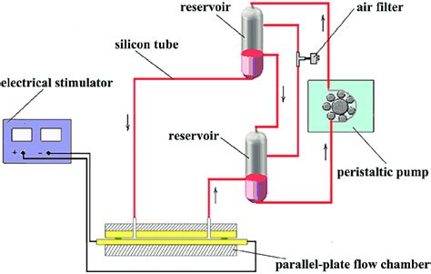 Schematic diagram of the combined stimulation device. | Download ...