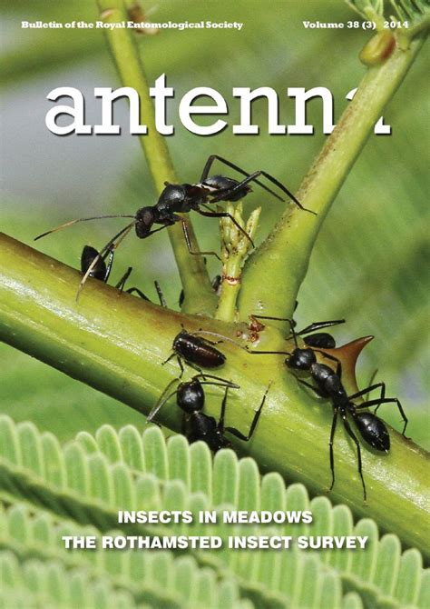 Antenna Volume 38 (3) 2014 - Royal Entomological Society