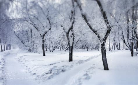 Photograph Siberia winter by Evgeny Frolov on 500px