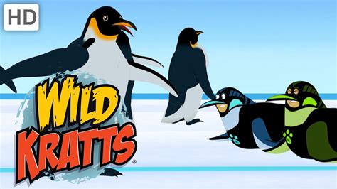 Wild Kratts - Penguin Slide 🐧 | Kids Videos - YouTube