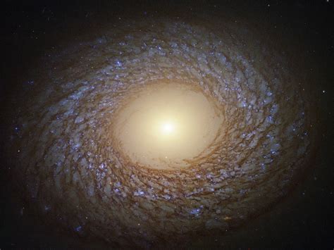 Extreme galaxies depend on extreme conditions for their formation - Universe Today