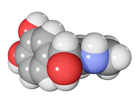 Adrenaline Hormone Molecule Photograph by Laguna Design - Pixels