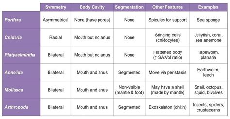 the table has two different types of words in each word, and there is ...