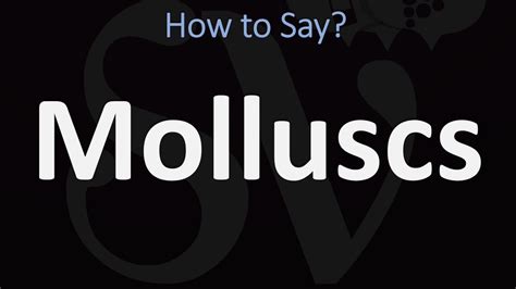 How to Pronounce Molluscs? (CORRECTLY) - YouTube