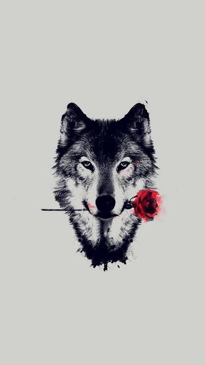 Lone Wolf Wallpaper - Wallpaper HD