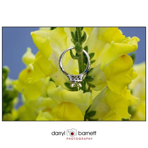 Engagement Ring from an Engagement Shoot at Longwood Gardens. Darryl Barnett Photography ...