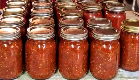 Homemade Spaghetti Sauce | Canning Recipe - 50 Friendly