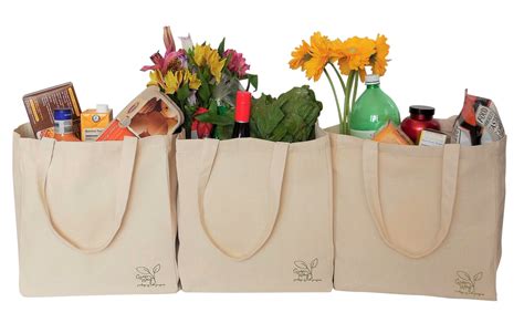 Eco-Friendly, Reusable Canvas Tote Bags - HomePro Goods