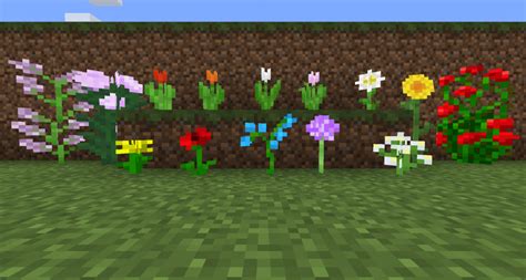 List Of Flowers In Minecraft - Plants And Flowers Minecraft 101 : Flowers common flowers ...