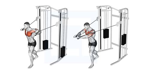 Cable Standing Chest Press - Guide, Benefits, and Form