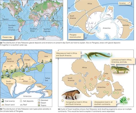 Wegener’s Evidence for Continental Drift ~ Learning Geology | Continental drift, Continental ...