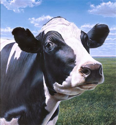 Holstein Cow Portrait Painting by Hans Droog - Fine Art America