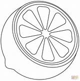 Lime Coloring Page  Free Printable Coloring Pages sketch template