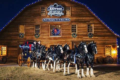 Clydesdales at The Ranch Harley-Davidson - BCS | Calendar