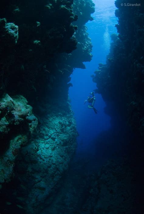 Scuba Diving in Tahiti - TOPDIVE