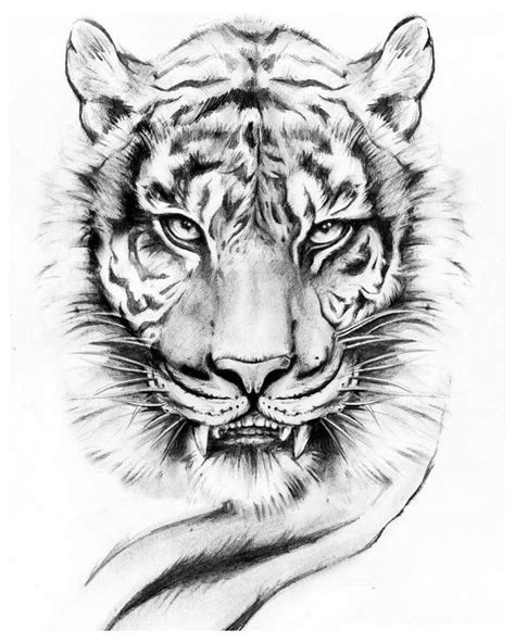 Tiger Tattoo Small, Tiger Tattoo Thigh, Tiger Face Tattoo, Tiger Tattoo Sleeve, Lion Head ...