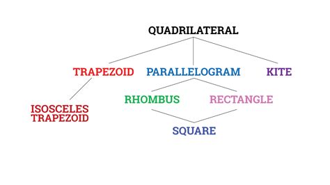 Properties Of Quadrilaterals Chart