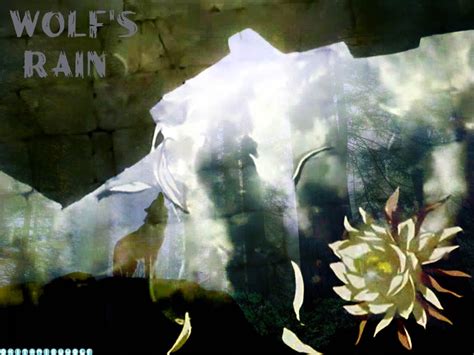 Wolf S Rain Wallpaper - WallpaperSafari