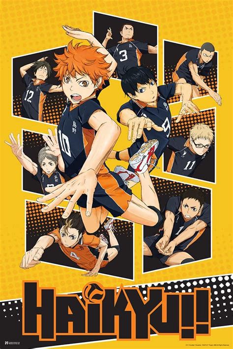 Haikyuu Poster Karasuno High School Volleyball Team Shoyo Anime Stuff Haikyuu Manga Haikyu Anime ...