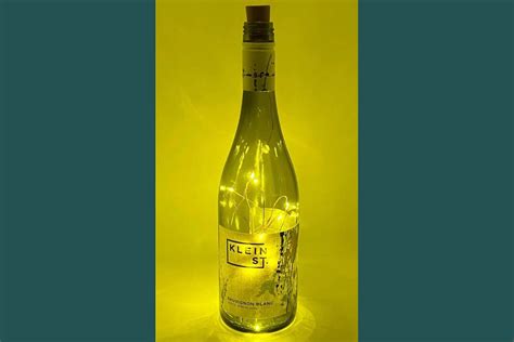Klein Bottle Wine Bottle