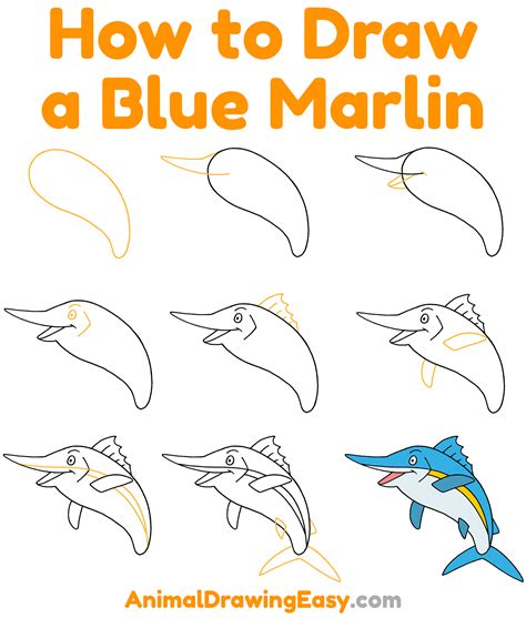 How to Draw a Blue Marlin - Animaldrawingeasy.com