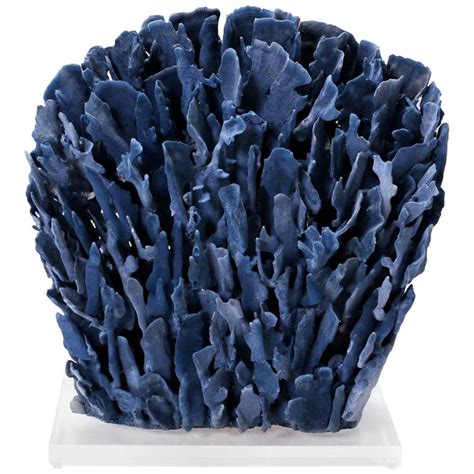 Large Coral Sculpture on Lucite For Sale at 1stdibs