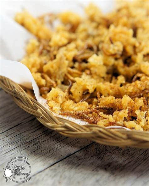 Bugs for Beginners | Edible Insect Recipes: Mealworm Crispy Crumbs | Mealworm recipe, Recipes ...