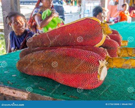 Buah Merah editorial stock photo. Image of jungle, stall - 275610848