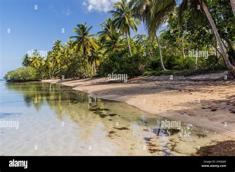 Beach in Las Terrenas, Dominican Republic Stock Photo - Alamy