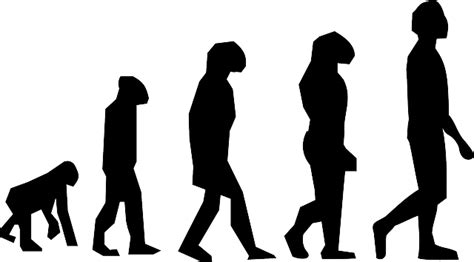 Evolution Walking Charles Darwin · Free vector graphic on Pixabay