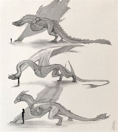 Dragon anatomy by sioSIN on DeviantArt