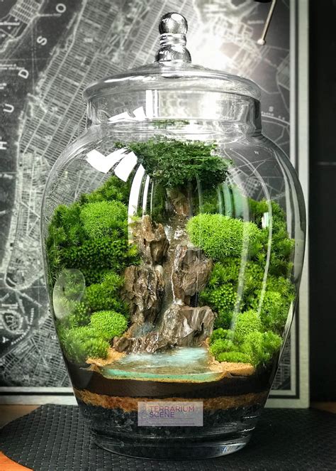 Pin by nancy bruder on Hobbies | Garden terrarium, Bottle garden ...