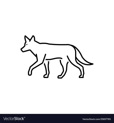 Jackal Royalty Free Vector Image - VectorStock