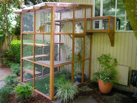 It’s Easy to Build a DIY Catio for Your Cat! - Catio Spaces