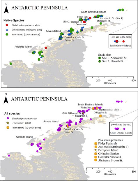 Biogeographic distribution of Deschampsia antarctica, Colobanthus ...