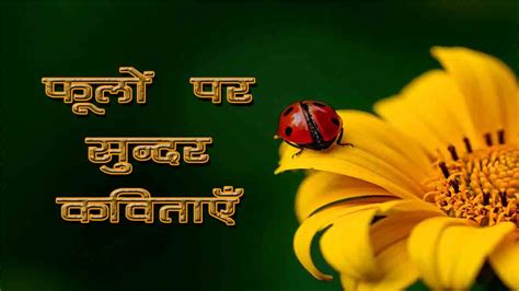 7+ फूलों पर सुन्दर कविताएँ - Poem on Flowers in Hindi