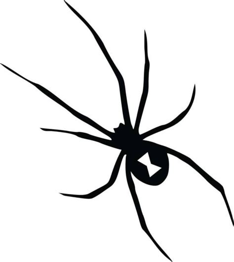 Black Widow Spider Stencil Widow Decal Creepy Proefje Aa07 Spinnen Insecten Spinnenweb ...