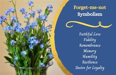 Forget-Me-Not Symbolic Meaning | Forget me nots flowers, Forget me not, Forget me not blue