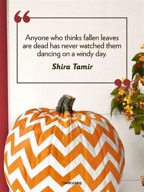 55 Fall Quotes to Remind You Just How Beautiful This Season Is | Autumn quotes, Fall, Seasons