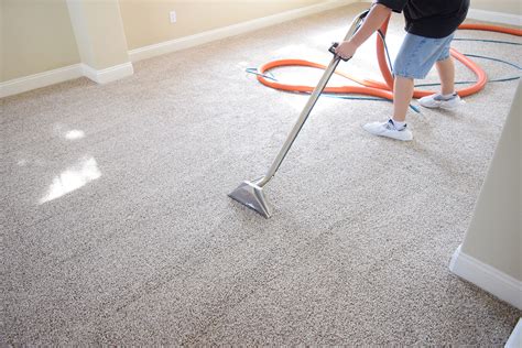 carpet cleaning