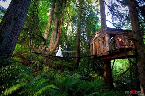 Rainforest Hotel Built in the Trees: Tree House Point – CAPTIVATIST