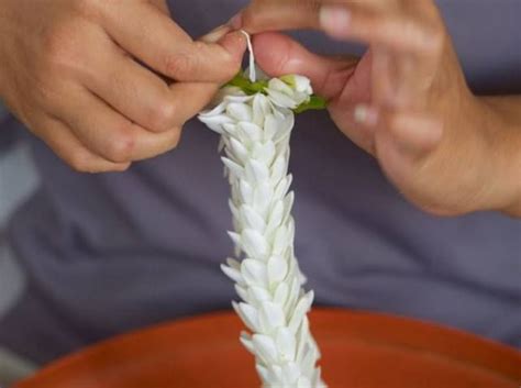 Tiare flower lei Flower Lei, Virgin Coconut Oil, Leis, Frizzy, Eye Area, Flowers, Garlands ...