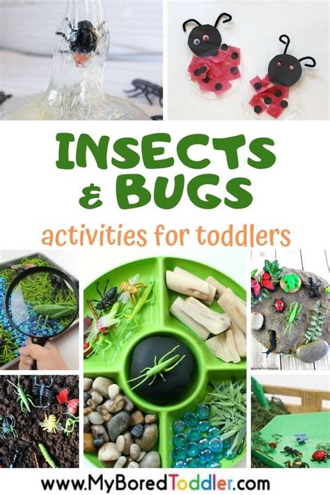 Insects and Bugs Activities for Toddlers | Bug activities, Insect ...